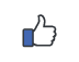 Facebook-Logo